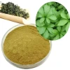 Gynostemma extract